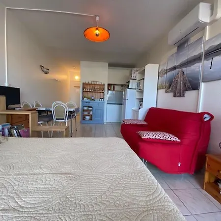 Climatise Avec Balcon, Animaux Admis - Fr-1-503-128 Apartmán
