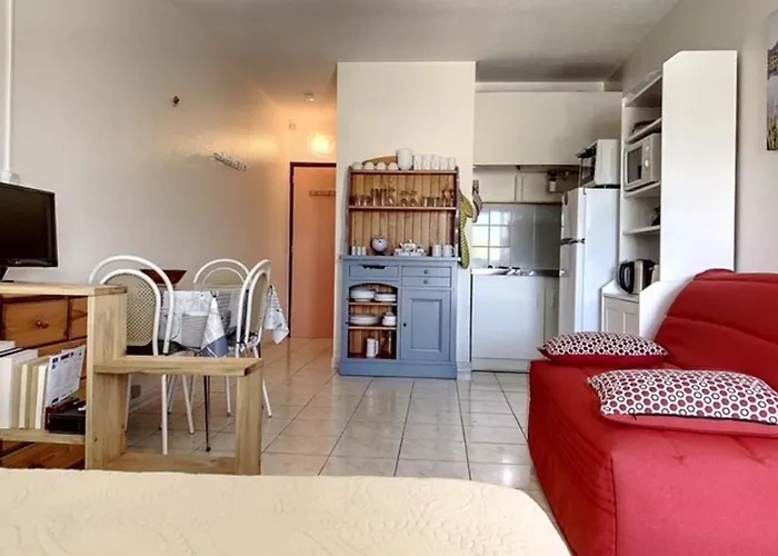 Climatise Avec Balcon, Animaux Admis - Fr-1-503-128