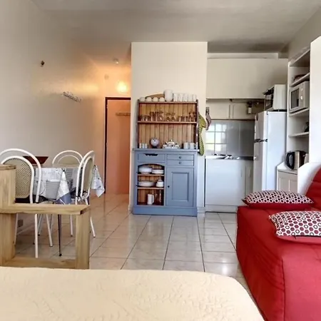 Climatise Avec Balcon, Animaux Admis - Fr-1-503-128