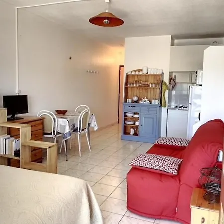 Climatise Avec Balcon, Animaux Admis - Fr-1-503-128