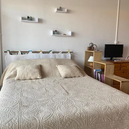 Climatise Avec Balcon, Animaux Admis - Fr-1-503-128
